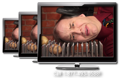 VIEW STEVE'S VIDEOS